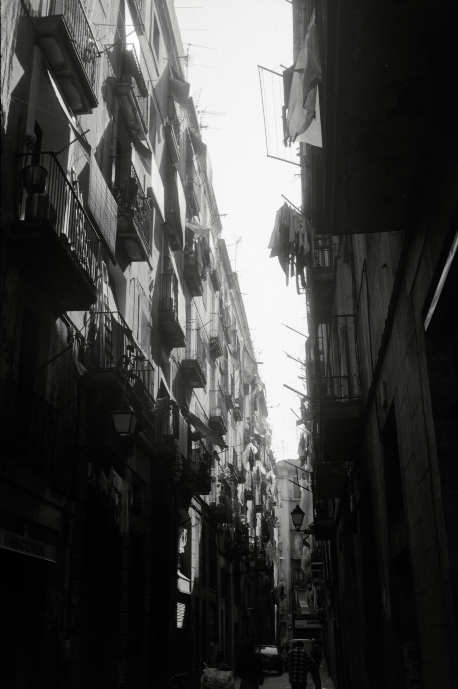 AHP F1996 03 001 sc240818 img12 NLP